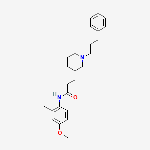 molecular formula C25H34N2O2 B6069387 N-(4-methoxy-2-methylphenyl)-3-[1-(3-phenylpropyl)-3-piperidinyl]propanamide 