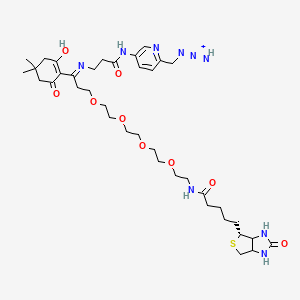 molecular formula C38H57N9O9S B607008 [5-[3-[[1-(2-hydroxy-4,4-dimethyl-6-oxocyclohexen-1-yl)-3-[2-[2-[2-[2-[5-[(4R)-2-oxo-1,3,3a,4,6,6a-hexahydrothieno[3,4-d]imidazol-4-yl]pentanoylamino]ethoxy]ethoxy]ethoxy]ethoxy]propylidene]amino]propanoylamino]pyridin-2-yl]methylimino-iminoazanium CAS No. 2055048-42-3