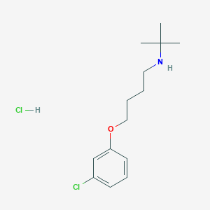 molecular formula C14H23Cl2NO B6070286 N-(tert-butyl)-4-(3-chlorophenoxy)-1-butanamine hydrochloride 