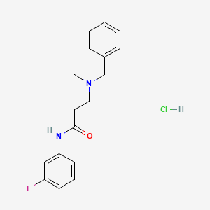 molecular formula C17H20ClFN2O B6070468 N~3~-benzyl-N~1~-(3-fluorophenyl)-N~3~-methyl-beta-alaninamide hydrochloride 