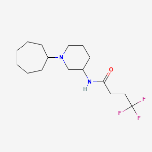 N-(1-cycloheptyl-3-piperidinyl)-4,4,4-trifluorobutanamide