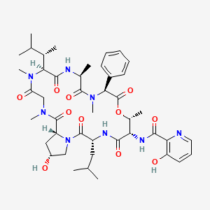 molecular formula C44H62N8O11 B607373 依他霉素 CAS No. 299-20-7