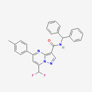 molecular formula C28H22F2N4O B6073803 7-(difluoromethyl)-N-(diphenylmethyl)-5-(4-methylphenyl)pyrazolo[1,5-a]pyrimidine-3-carboxamide 
