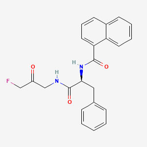 molecular formula C23H21FN2O3 B607489 FMK-9a CAS No. 1955550-51-2