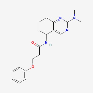 molecular formula C19H24N4O2 B6075824 N-[2-(dimethylamino)-5,6,7,8-tetrahydro-5-quinazolinyl]-3-phenoxypropanamide 