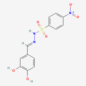 molecular formula C13H11N3O6S B6075861 N'-(3,4-dihydroxybenzylidene)-4-nitrobenzenesulfonohydrazide 