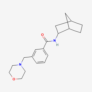 molecular formula C19H26N2O2 B6075938 N-bicyclo[2.2.1]hept-2-yl-3-(4-morpholinylmethyl)benzamide 