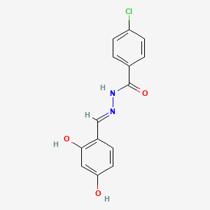 molecular formula C14H11ClN2O3 B6076023 4-chloro-N'-(2,4-dihydroxybenzylidene)benzohydrazide CAS No. 302909-10-0