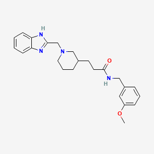 molecular formula C24H30N4O2 B6076158 3-[1-(1H-benzimidazol-2-ylmethyl)-3-piperidinyl]-N-(3-methoxybenzyl)propanamide 