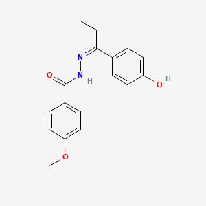 molecular formula C18H20N2O3 B6076586 4-ethoxy-N'-[1-(4-hydroxyphenyl)propylidene]benzohydrazide 