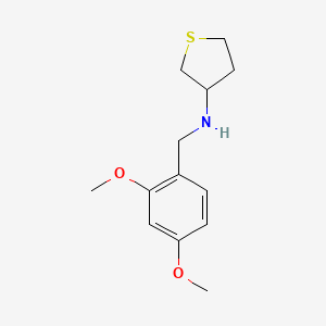molecular formula C13H19NO2S B6076910 (2,4-dimethoxybenzyl)tetrahydro-3-thienylamine 