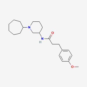 molecular formula C22H34N2O2 B6076943 N-(1-cycloheptyl-3-piperidinyl)-3-(4-methoxyphenyl)propanamide 
