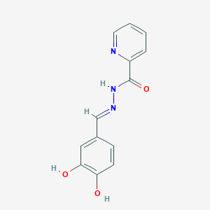 molecular formula C13H11N3O3 B6078853 N'-(3,4-dihydroxybenzylidene)-2-pyridinecarbohydrazide 