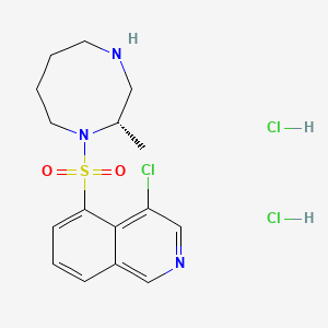 molecular formula C16H22Cl3N3O2S B607906 4-chloro-5-[[(2S)-2-methyl-1,4-diazocan-1-yl]sulfonyl]isoquinoline;dihydrochloride CAS No. 1011465-90-9