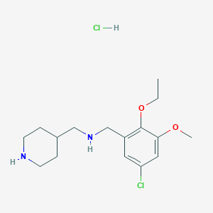 molecular formula C16H26Cl2N2O2 B6079704 (5-chloro-2-ethoxy-3-methoxybenzyl)(piperidin-4-ylmethyl)amine hydrochloride 