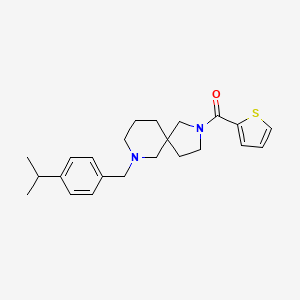 molecular formula C23H30N2OS B6080745 7-(4-isopropylbenzyl)-2-(2-thienylcarbonyl)-2,7-diazaspiro[4.5]decane 