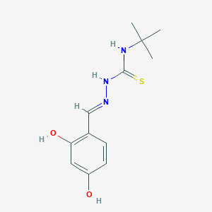 B608080 1-tert-butyl-3-[(E)-(2,4-dihydroxyphenyl)methylideneamino]thiourea CAS No. 218795-74-5