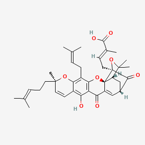 molecular formula C38H44O8 B608132 (E)-4-[(1S,2S,8R,17S,19R)-12-hydroxy-8,21,21-trimethyl-5-(3-methylbut-2-enyl)-8-(4-methylpent-3-enyl)-14,18-dioxo-3,7,20-trioxahexacyclo[15.4.1.02,15.02,19.04,13.06,11]docosa-4(13),5,9,11,15-pentaen-19-yl]-2-methylbut-2-enoic acid CAS No. 149655-52-7