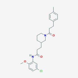 molecular formula C25H31ClN2O3 B6081867 N-(5-chloro-2-methoxyphenyl)-3-{1-[3-(4-methylphenyl)propanoyl]-3-piperidinyl}propanamide 
