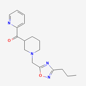 molecular formula C17H22N4O2 B6082313 {1-[(3-propyl-1,2,4-oxadiazol-5-yl)methyl]-3-piperidinyl}(2-pyridinyl)methanone 