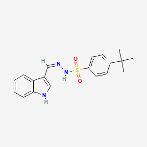 molecular formula C19H21N3O2S B6082590 4-tert-butyl-N'-(1H-indol-3-ylmethylene)benzenesulfonohydrazide 