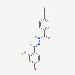 molecular formula C19H22N2O3 B6082726 4-tert-butyl-N'-[1-(2,4-dihydroxyphenyl)ethylidene]benzohydrazide 
