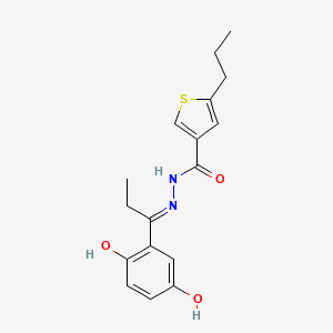 molecular formula C17H20N2O3S B6082907 N'-[1-(2,5-dihydroxyphenyl)propylidene]-5-propyl-3-thiophenecarbohydrazide 
