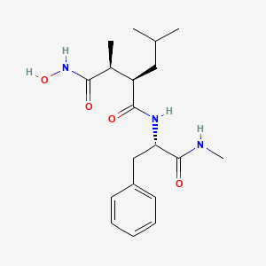molecular formula C19H29N3O4 B608312 (4-(N-hydroxyamino)-2R-isobutyl-3S-methylsuccinyl)-L-phenylglycine-N-methylamide CAS No. 168158-16-5