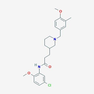 molecular formula C24H31ClN2O3 B6083792 N-(5-chloro-2-methoxyphenyl)-3-[1-(4-methoxy-3-methylbenzyl)-3-piperidinyl]propanamide 