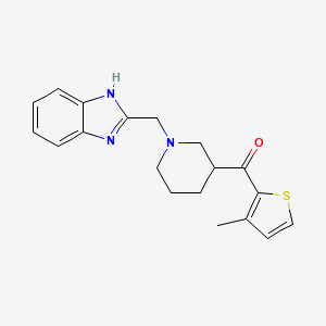 molecular formula C19H21N3OS B6083911 [1-(1H-benzimidazol-2-ylmethyl)-3-piperidinyl](3-methyl-2-thienyl)methanone 