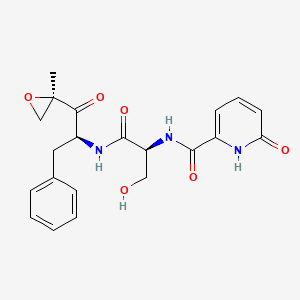 molecular formula C21H23N3O6 B608407 N-[(2S)-3-羟基-1-[[(2S)-1-[(2R)-2-甲基氧代环氧乙烷-2-基]-1-氧代-3-苯基丙-2-基]氨基]-1-氧代丙-2-基]-6-氧代-1H-吡啶-2-甲酰胺 CAS No. 1629052-78-3