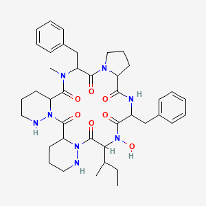 molecular formula C40H54N8O7 B608410 环(脯-苯丙氨酸-N-OH-异亮氨酸-哌嗪基-哌嗪基-N-甲基-D-苯丙氨酸) CAS No. 122211-29-4