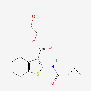 molecular formula C17H23NO4S B6084214 2-methoxyethyl 2-[(cyclobutylcarbonyl)amino]-4,5,6,7-tetrahydro-1-benzothiophene-3-carboxylate 