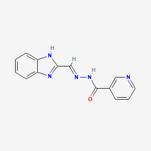 molecular formula C14H11N5O B6084771 N'-(1H-benzimidazol-2-ylmethylene)nicotinohydrazide 