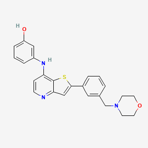 molecular formula C24H23N3O2S B608496 3-(2-(3-(Morpholinomethyl)phenyl)thieno[3,2-b]pyridin-7-ylamino)phenol CAS No. 1228102-01-9