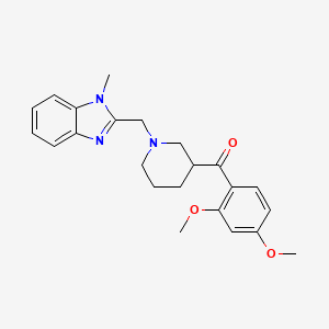 molecular formula C23H27N3O3 B6086701 (2,4-dimethoxyphenyl){1-[(1-methyl-1H-benzimidazol-2-yl)methyl]-3-piperidinyl}methanone 