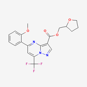 molecular formula C20H18F3N3O4 B6087437 tetrahydro-2-furanylmethyl 5-(2-methoxyphenyl)-7-(trifluoromethyl)pyrazolo[1,5-a]pyrimidine-3-carboxylate 