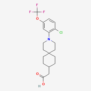molecular formula C19H23ClF3NO3 B608939 2-(3-(2-Chloro-5-(trifluoromethoxy)phenyl)-3-azaspiro[5.5]undecan-9-yl)acetic acid CAS No. 1599477-75-4