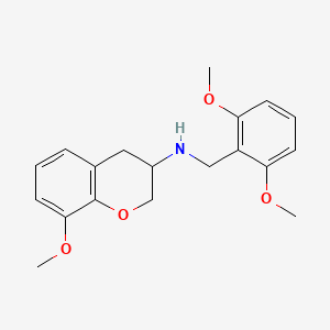 molecular formula C19H23NO4 B6089624 (2,6-dimethoxybenzyl)(8-methoxy-3,4-dihydro-2H-chromen-3-yl)amine 