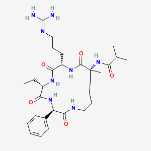 molecular formula C29H46N8O5 B609188 isobutyryl-D-aMeLys(1)-Arg-Abu-D-Phg-(1) CAS No. 1442106-10-6