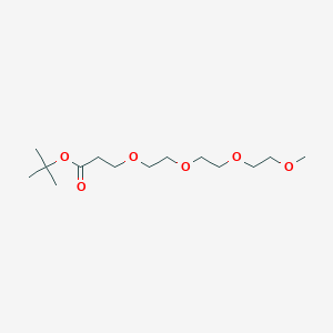 molecular formula C14H28O6 B609267 tert-Butyl 3-{2-[2-(2-methoxyethoxy)ethoxy]ethoxy}propionate CAS No. 883554-11-8