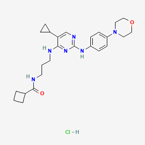 molecular formula C25H35ClN6O2 B609330 N-[3-[[5-Cyclopropyl-2-[[4-(4-morpholinyl)phenyl]amino]-4-pyrimidinyl]amino]propyl]cyclobutanecarboxamide hydrochloride CAS No. 1190379-37-3