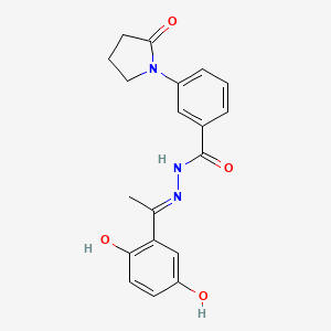 N-[(E)-1-(2,5-dihydroxyphenyl)ethylideneamino]-3-(2-oxopyrrolidin-1-yl)benzamide