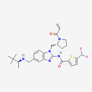 molecular formula C28H35F2N5O2S B610204 5-(二氟甲基)-N-[5-[[[(2S)-3,3-二甲基丁基-2-基]氨基]甲基]-1-[[(2R)-1-丙-2-烯酰吡咯烷-2-基]甲基]苯并咪唑-2-基]噻吩-2-甲酰胺 CAS No. 1575818-46-0