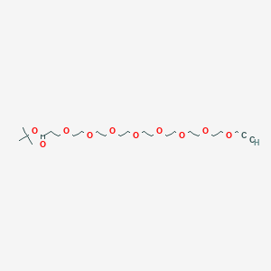 molecular formula C24H44O10 B610278 炔丙基-PEG8-叔丁酯 CAS No. 2055014-96-3