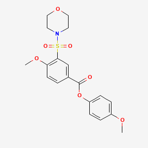 (4-Methoxyphenyl) 4-methoxy-3-morpholin-4-ylsulfonylbenzoate