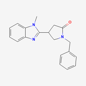 molecular formula C19H19N3O B6109553 1-benzyl-4-(1-methyl-1H-benzimidazol-2-yl)pyrrolidin-2-one 