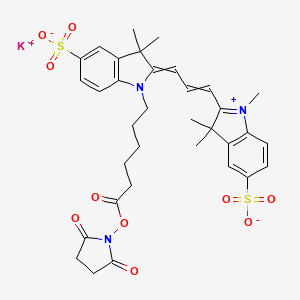 molecular formula C34H38KN3O10S2 B611059 Sulfo-Cyanine3 NHS酯 CAS No. 1424433-17-9