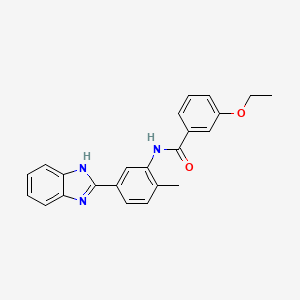 molecular formula C23H21N3O2 B6111077 N-[5-(1H-benzimidazol-2-yl)-2-methylphenyl]-3-ethoxybenzamide CAS No. 5743-86-2