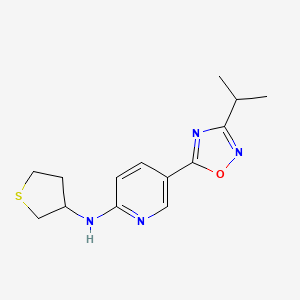 molecular formula C14H18N4OS B6112235 5-(3-isopropyl-1,2,4-oxadiazol-5-yl)-N-(tetrahydro-3-thienyl)-2-pyridinamine 